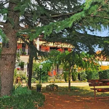 Labin 24