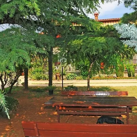 Labin 24 *